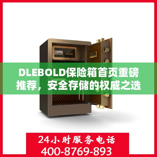 DLEBOLD保险箱首页重磅推荐，安全存储的权威之选