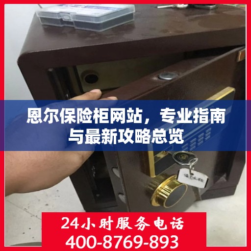 恩尔保险柜网站，专业指南与最新攻略总览