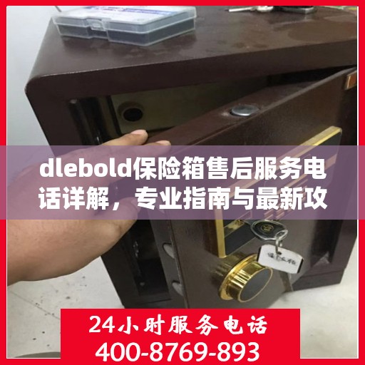 dlebold保险箱售后服务电话详解，专业指南与最新攻略速递