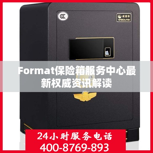 Format保险箱服务中心最新权威资讯解读