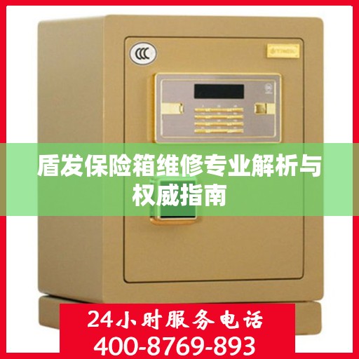 盾发保险箱维修专业解析与权威指南