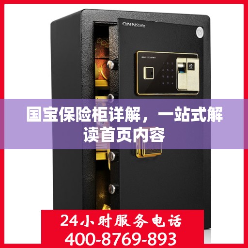 国宝保险柜详解，一站式解读首页内容