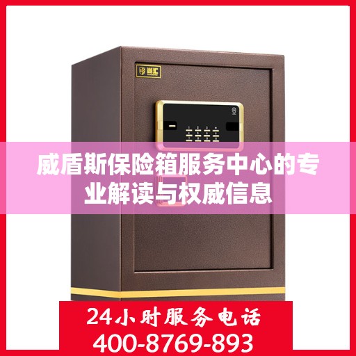 威盾斯保险箱服务中心的专业解读与权威信息