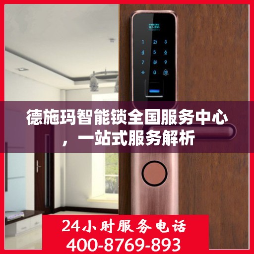德施玛智能锁全国服务中心，一站式服务解析