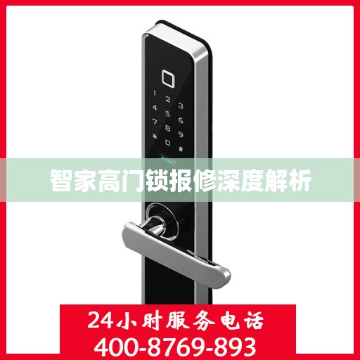 智家高门锁报修深度解析