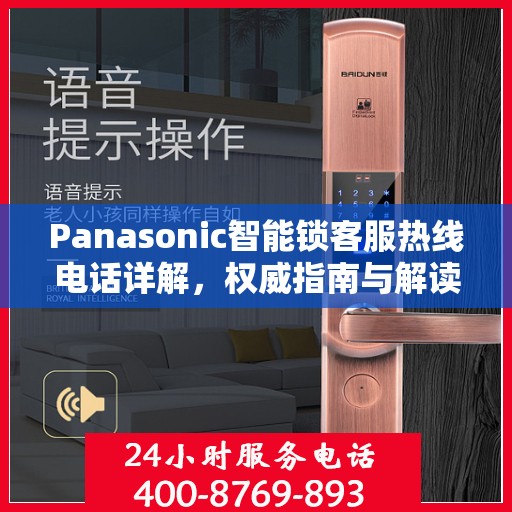 Panasonic智能锁客服热线电话详解，权威指南与解读