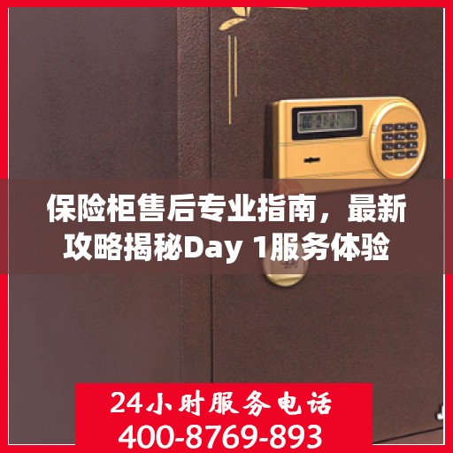 保险柜售后专业指南，最新攻略揭秘Day 1服务体验