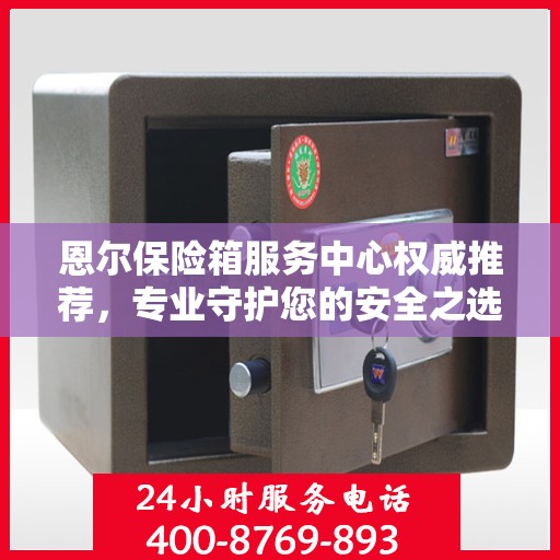 恩尔保险箱服务中心权威推荐，专业守护您的安全之选