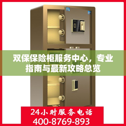 双保保险柜服务中心，专业指南与最新攻略总览