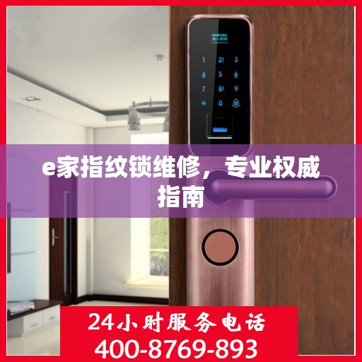 e家指纹锁维修，专业权威指南
