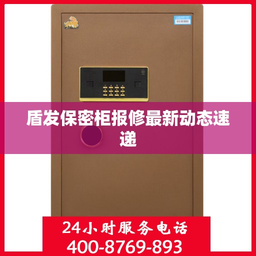 盾发保密柜报修最新动态速递