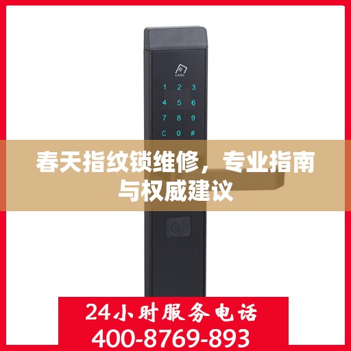 春天指纹锁维修，专业指南与权威建议