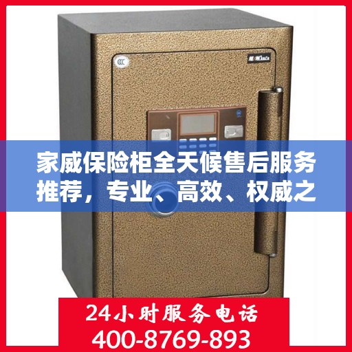家威保险柜全天候售后服务推荐，专业、高效、权威之选
