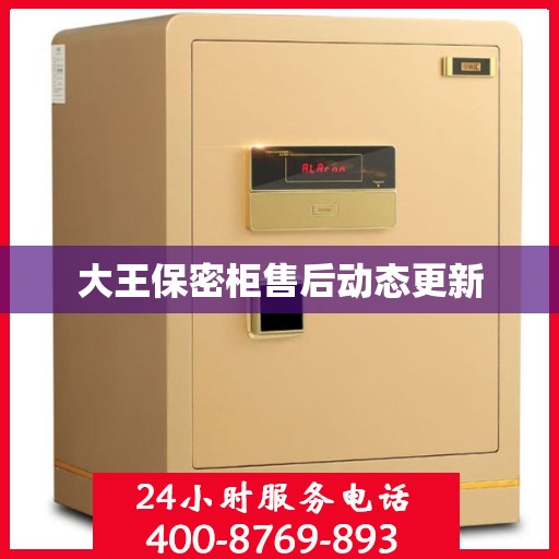 大王保密柜售后动态更新