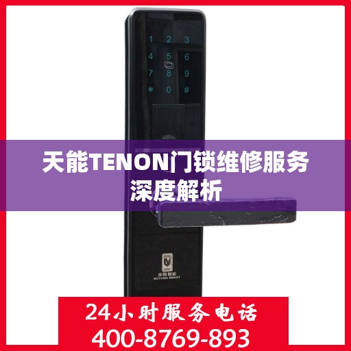 天能TENON门锁维修服务深度解析