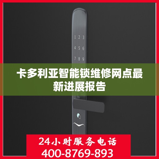 卡多利亚智能锁维修网点最新进展报告