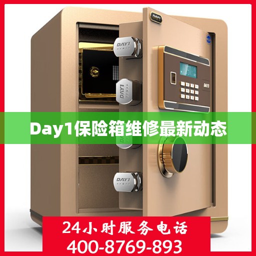 Day1保险箱维修最新动态