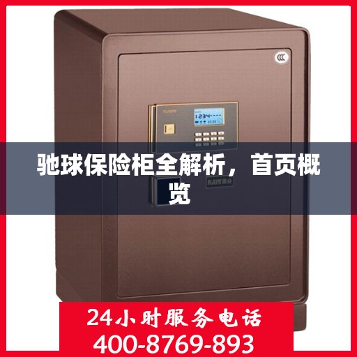 驰球保险柜全解析，首页概览