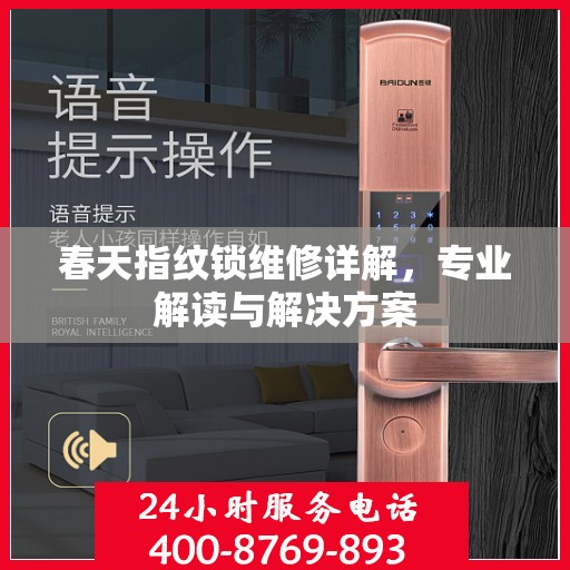 春天指纹锁维修详解，专业解读与解决方案