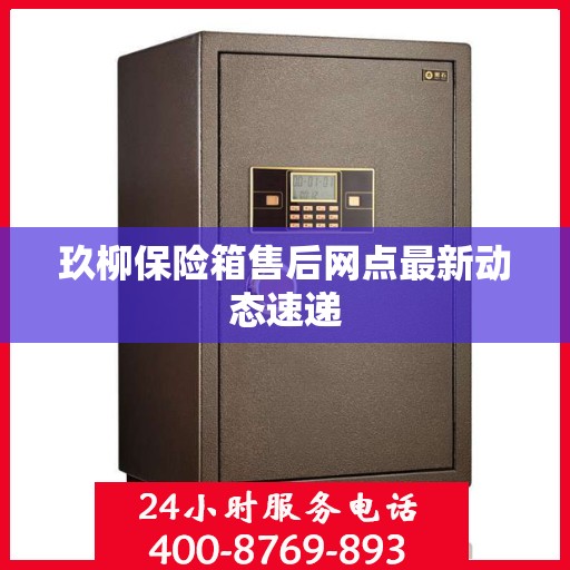 玖柳保险箱售后网点最新动态速递