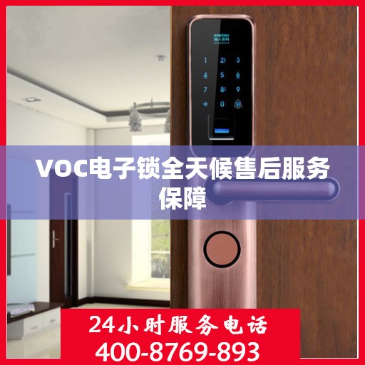VOC电子锁全天候售后服务保障