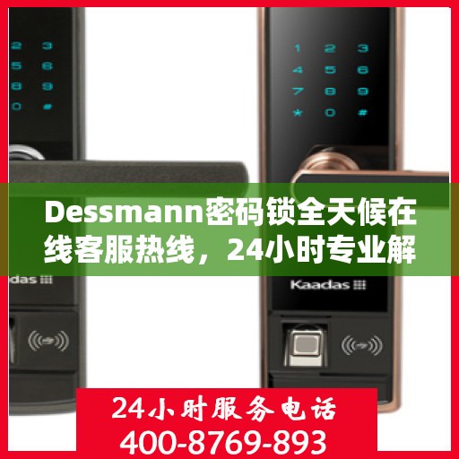 Dessmann密码锁全天候在线客服热线，24小时专业解答您的疑问