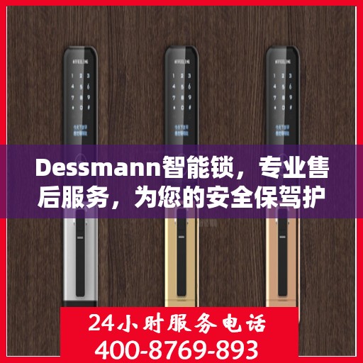 Dessmann智能锁，专业售后服务，为您的安全保驾护航