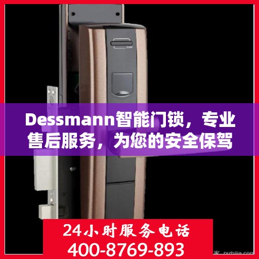 Dessmann智能门锁，专业售后服务，为您的安全保驾护航