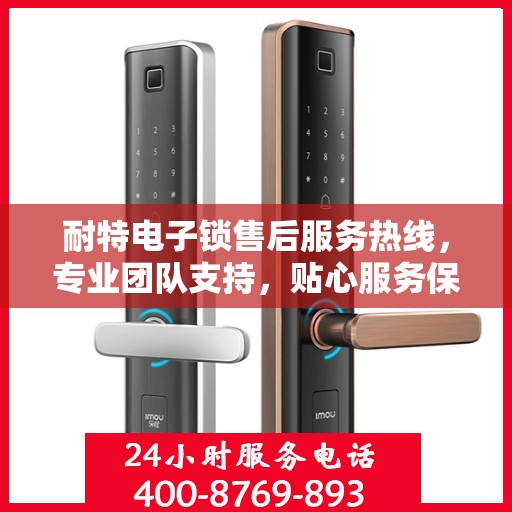 耐特电子锁售后服务热线，专业团队支持，贴心服务保障