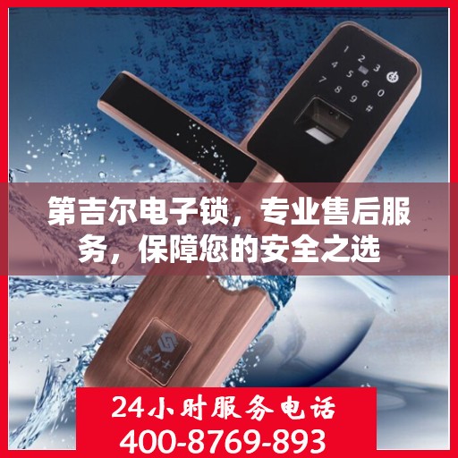 第吉尔电子锁，专业售后服务，保障您的安全之选