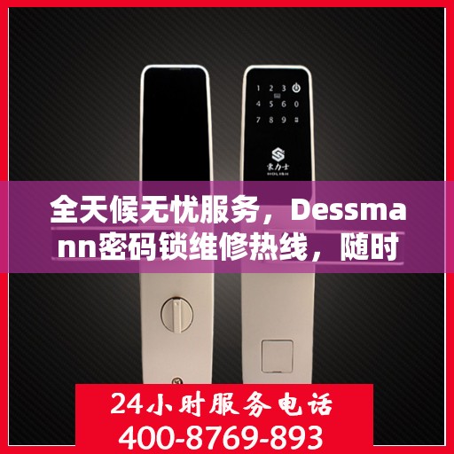 全天候无忧服务，Dessmann密码锁维修热线，随时响应您的需求