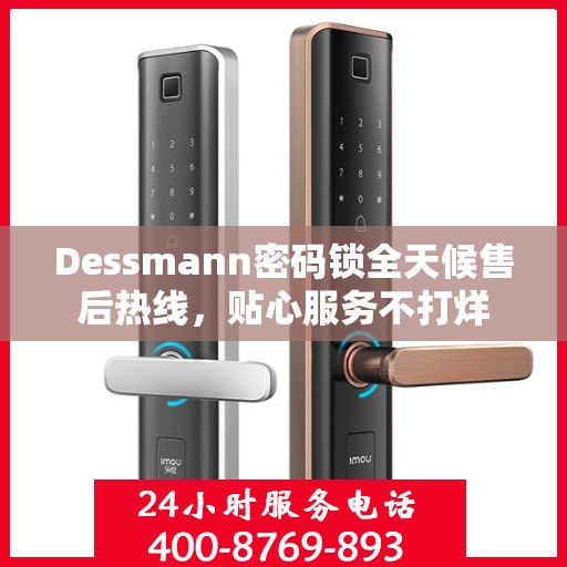Dessmann密码锁全天候售后热线，贴心服务不打烊