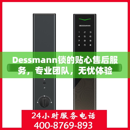 Dessmann锁的贴心售后服务，专业团队，无忧体验