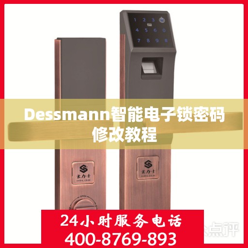Dessmann智能电子锁密码修改教程
