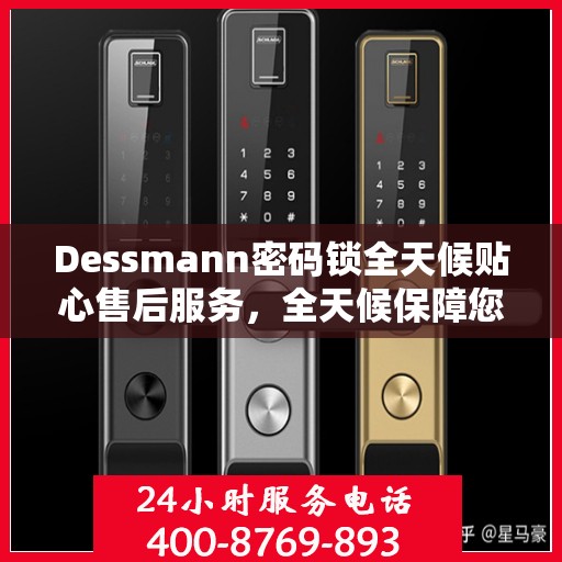 Dessmann密码锁全天候贴心售后服务，全天候保障您的安全！