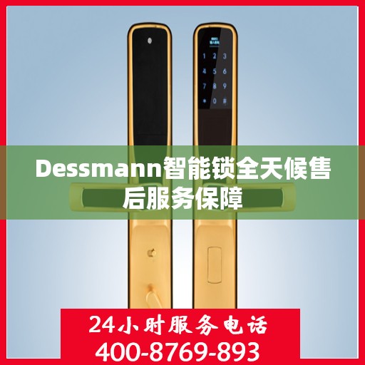 Dessmann智能锁全天候售后服务保障