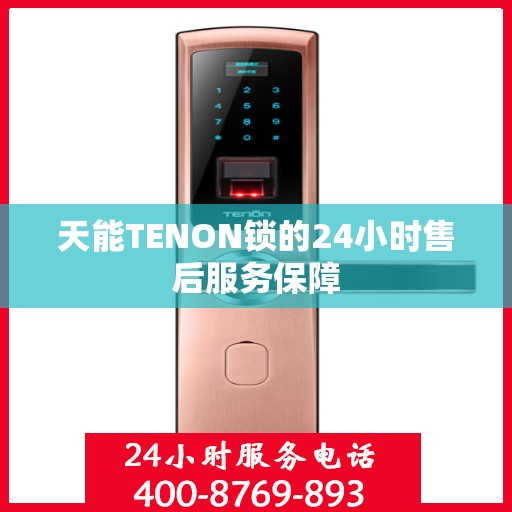 天能TENON锁的24小时售后服务保障