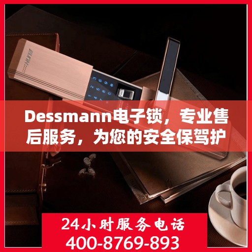 Dessmann电子锁，专业售后服务，为您的安全保驾护航