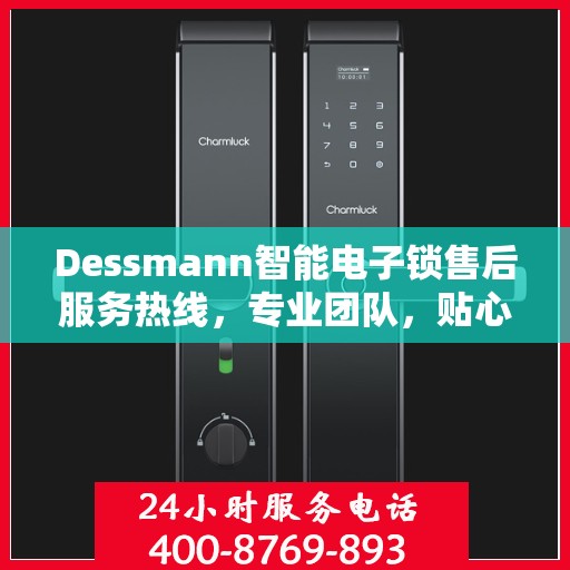 Dessmann智能电子锁售后服务热线，专业团队，贴心服务！