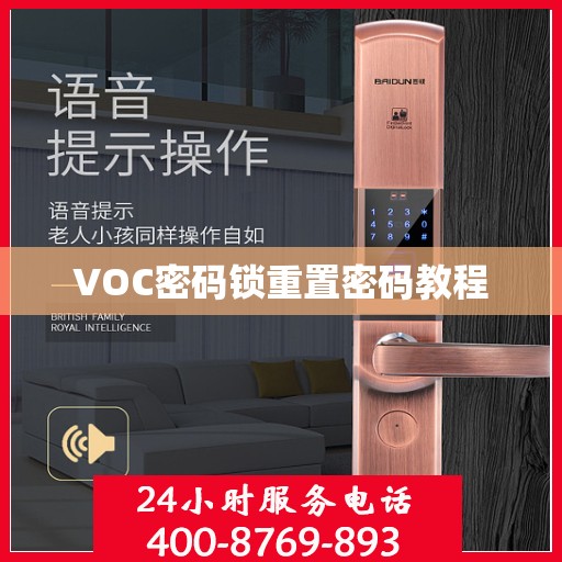 VOC密码锁重置密码教程