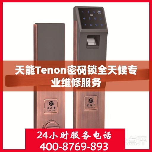 天能Tenon密码锁全天候专业维修服务