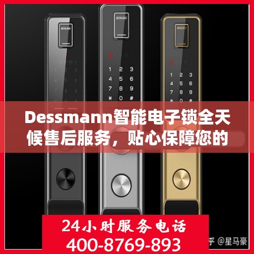 Dessmann智能电子锁全天候售后服务，贴心保障您的安全
