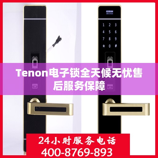 Tenon电子锁全天候无忧售后服务保障
