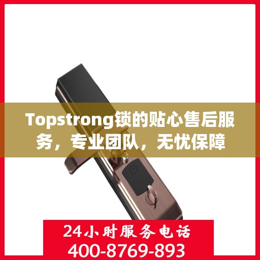 Topstrong锁的贴心售后服务，专业团队，无忧保障