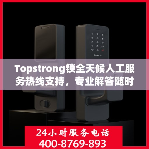 Topstrong锁全天候人工服务热线支持，专业解答随时相伴