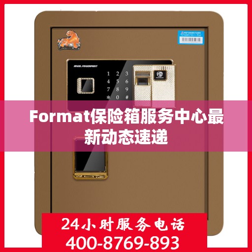 Format保险箱服务中心最新动态速递