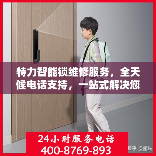 特力智能锁维修服务，全天候电话支持，一站式解决您的锁事困扰
