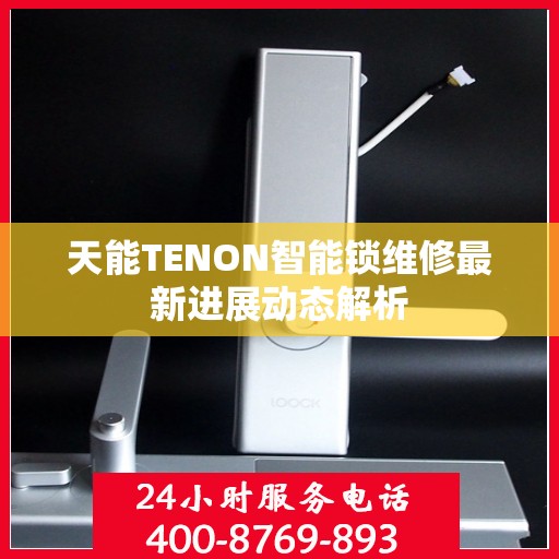 天能TENON智能锁维修最新进展动态解析