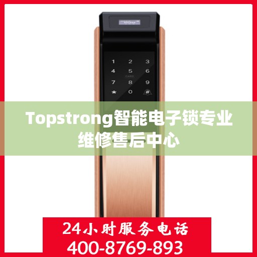 Topstrong智能电子锁专业维修售后中心