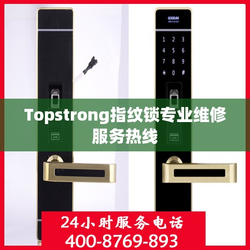 Topstrong指纹锁专业维修服务热线